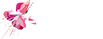 ELDER GRANGE